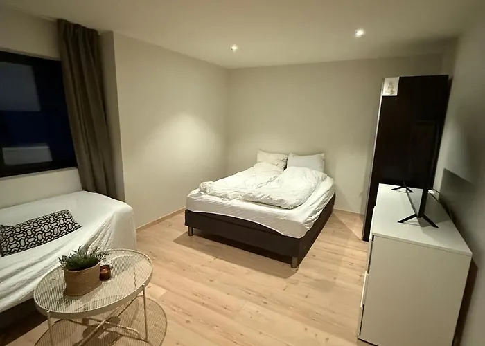 Sentralt Nytt Hus, Naerme Sjo Og Badeland * لينغدال